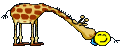 B1 (19)